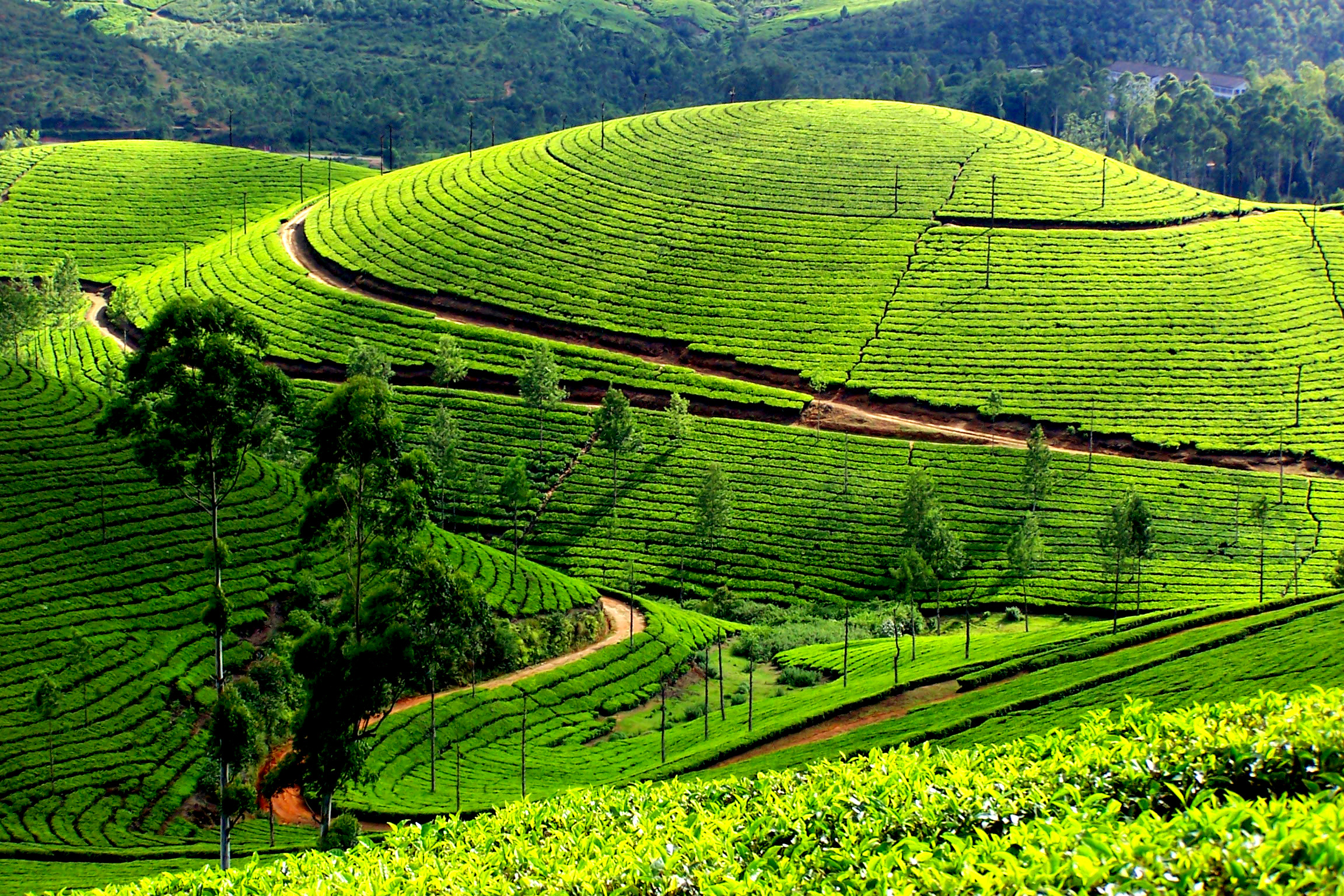 Tips for First-Time Travelers to India
